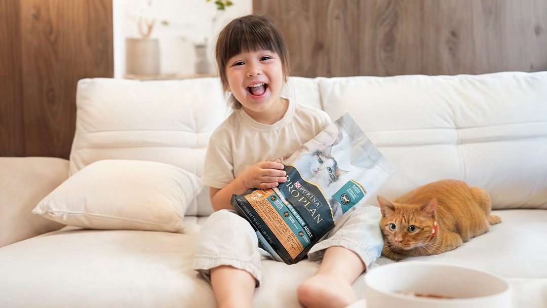 小孩、毛孩不用二選一！三週降低留存在貓毛及皮屑中的過敏原Fel d1達47%