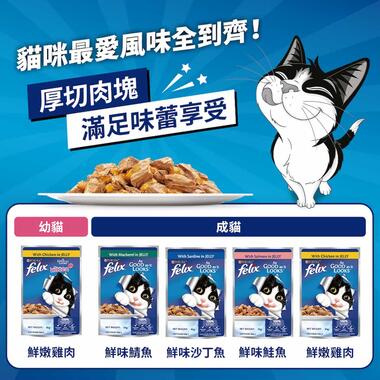 Felix 貓濕糧