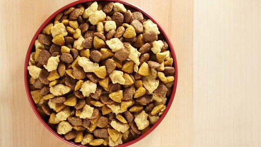 Dry food close up