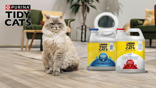 探索 Tidy Cats貓砂 系列