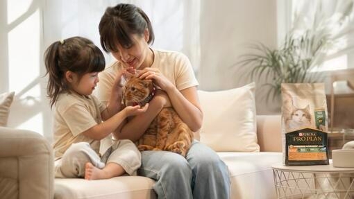 冠能®舒敏系列